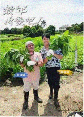 砰砰砰砰免费高清完整版视频旅行记